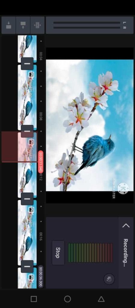 kinemaster save video